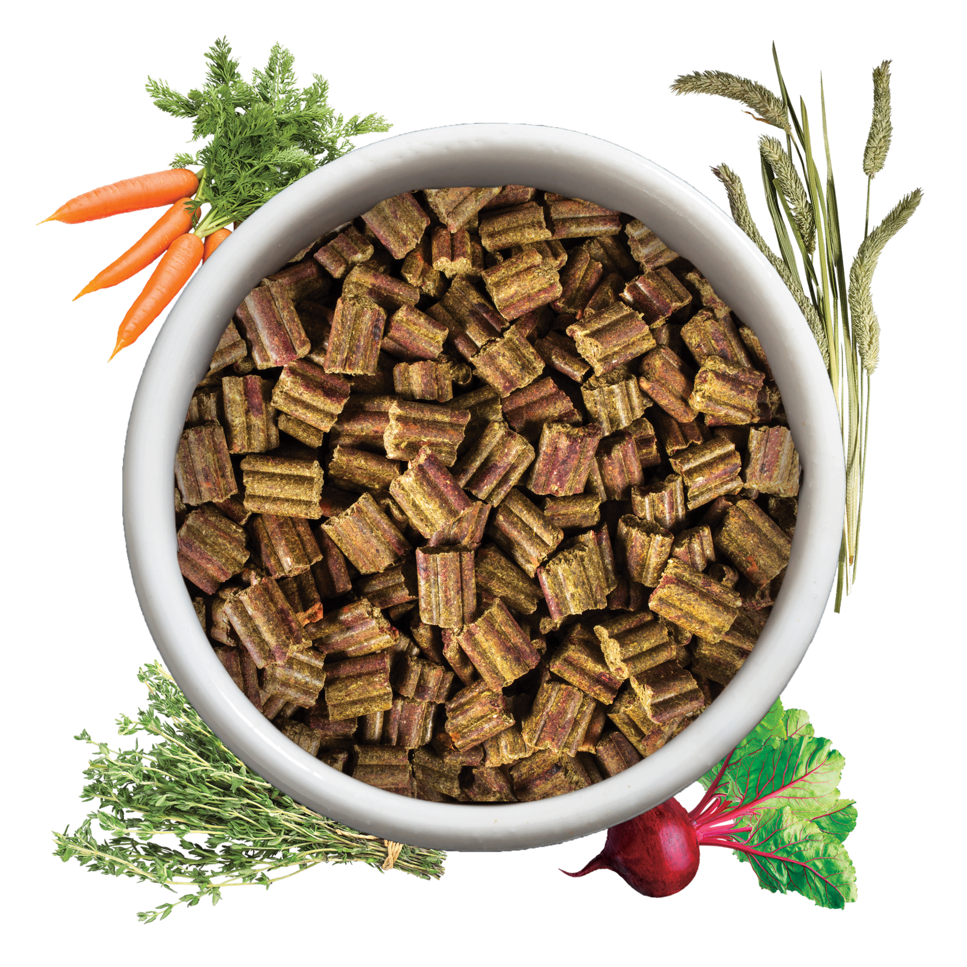 Bowl of Chinchilla Food