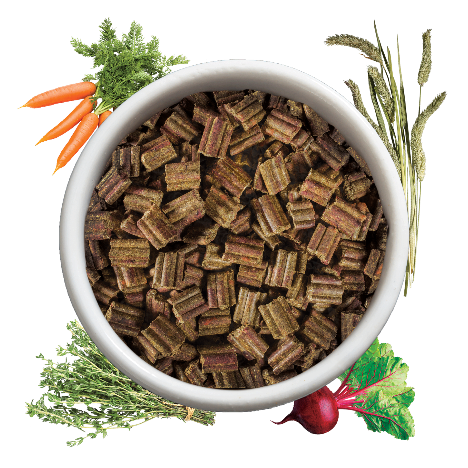 Bowl of Guinea Pig Food