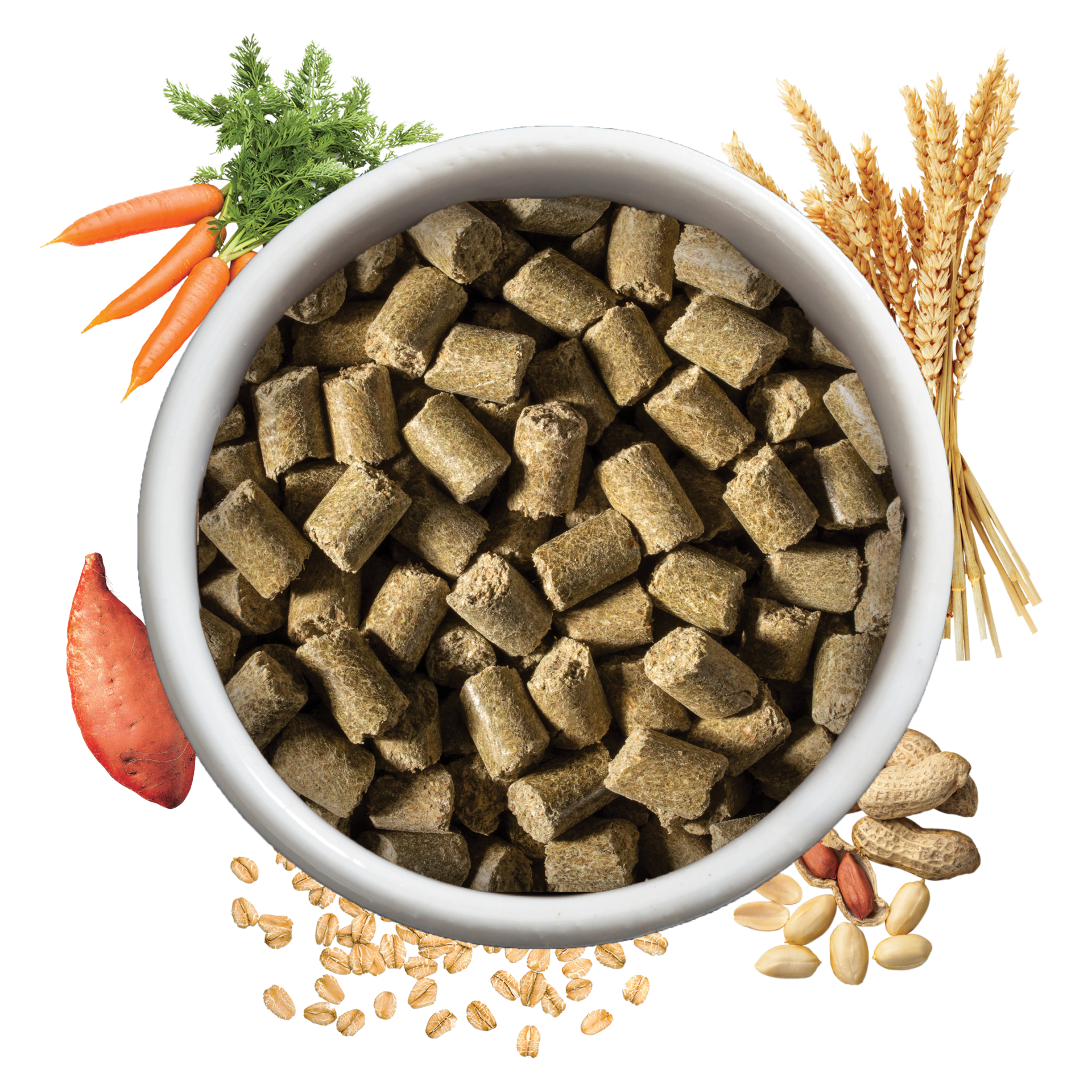 Bowl of Hamster & Gerbil Food