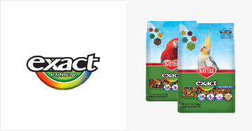 Exact rainbow