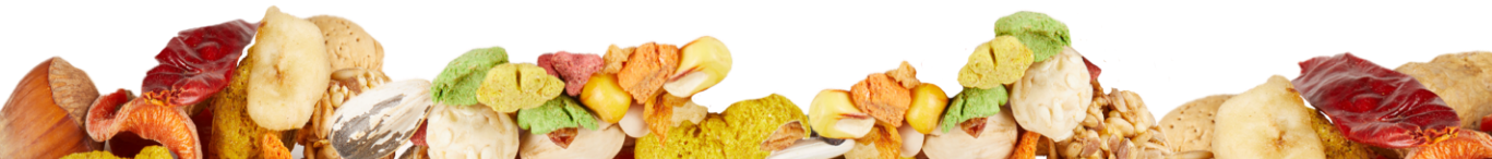 KT_Fiesta_Macaw_border