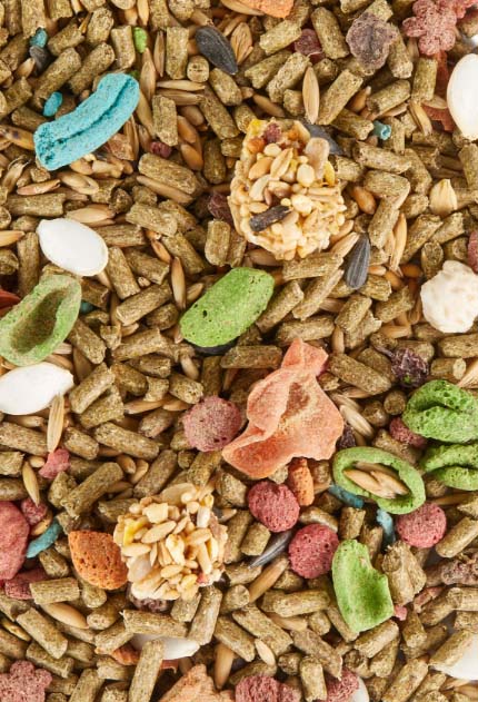 KT_Fiesta_Rabbit_PD_OutofBox_Top_Scattereclmobile