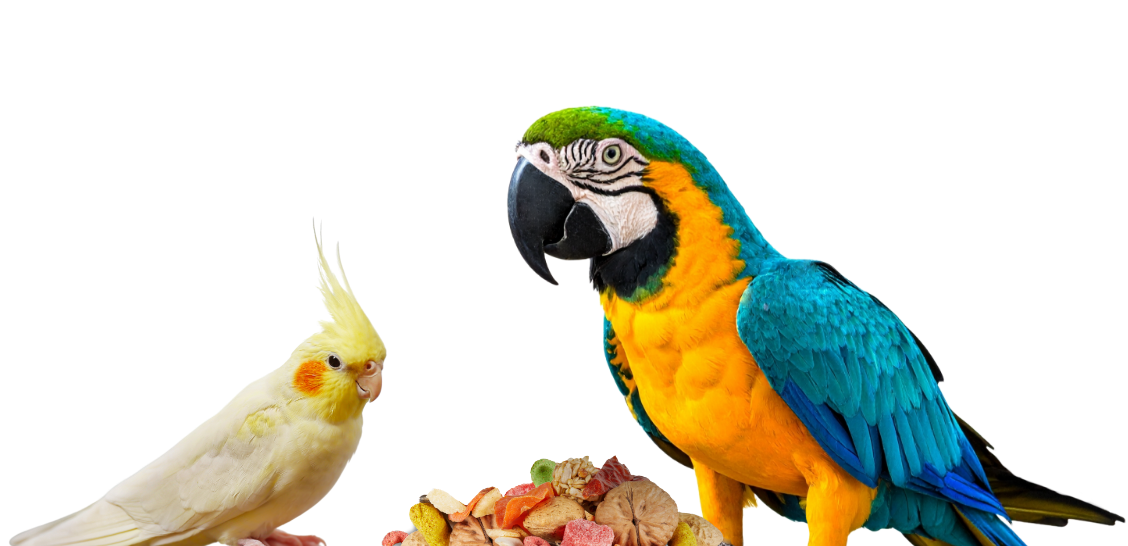 petbirdfoodlogo