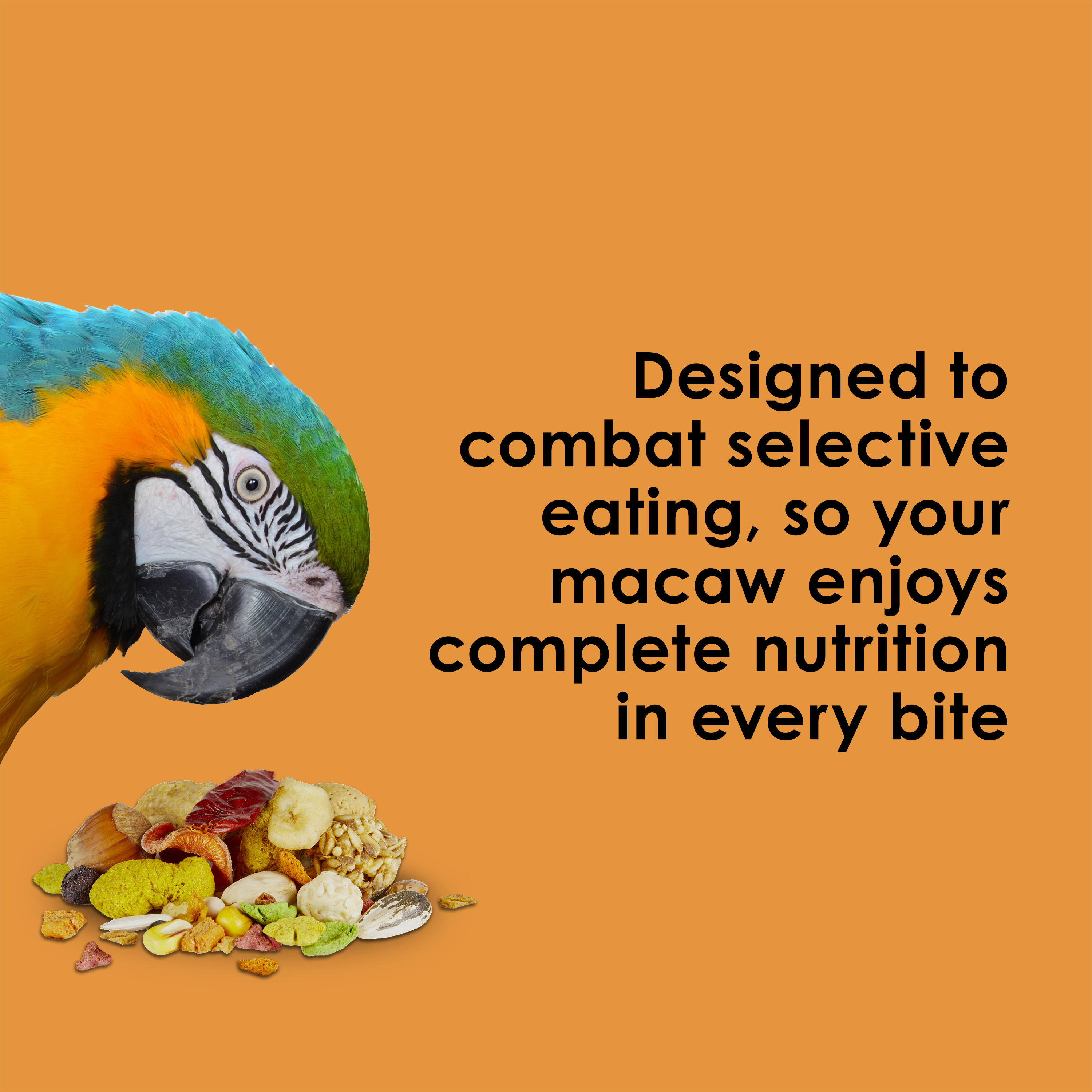 710784218-fiestamacaw_infographic03