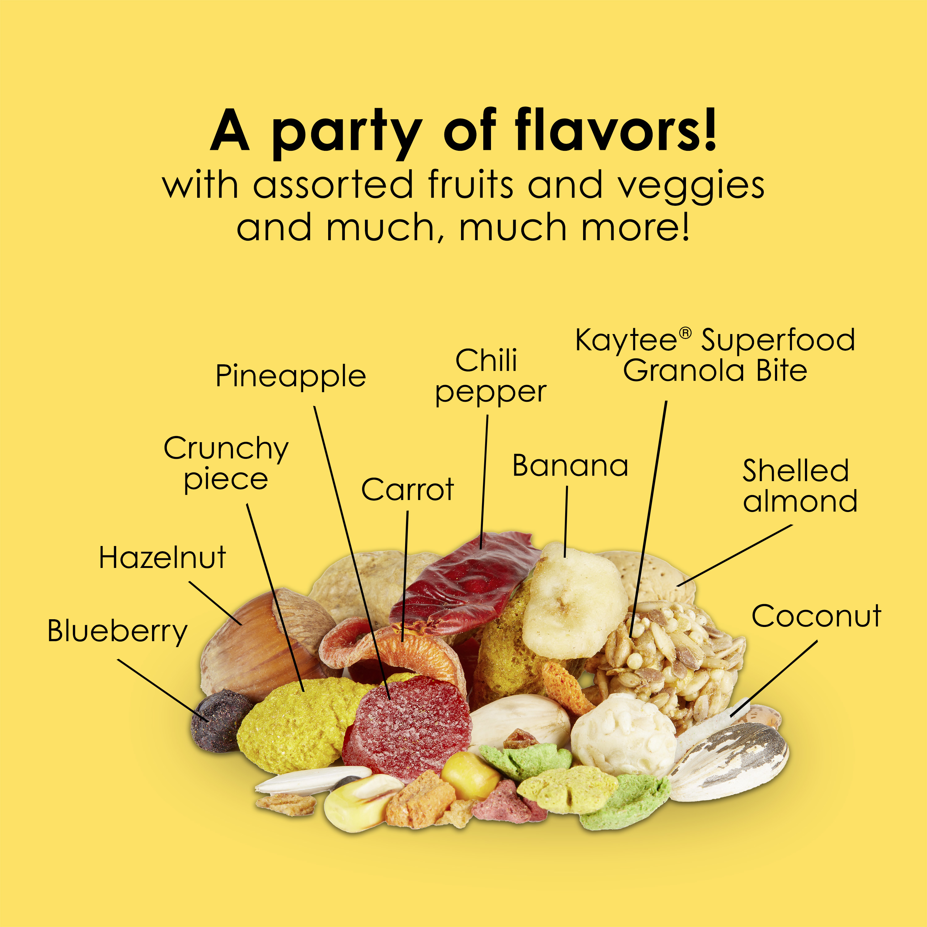 710784241-fiestamacaw_infographic06