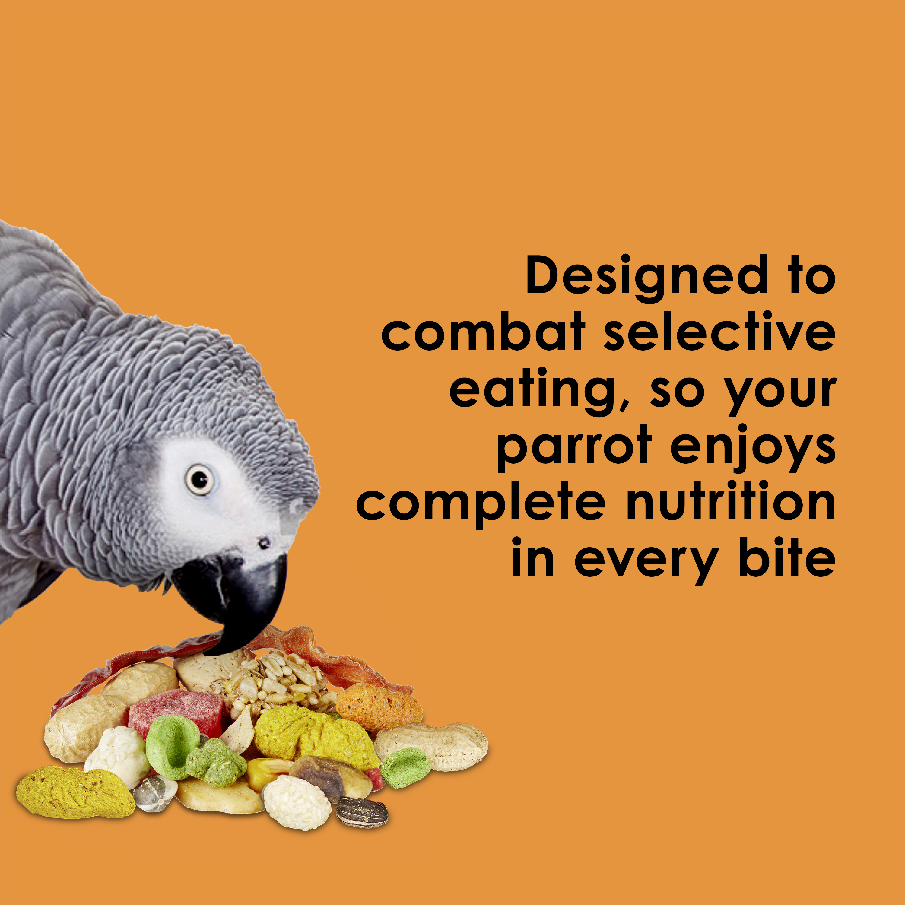 710788738-fiestaparrot_infographic03