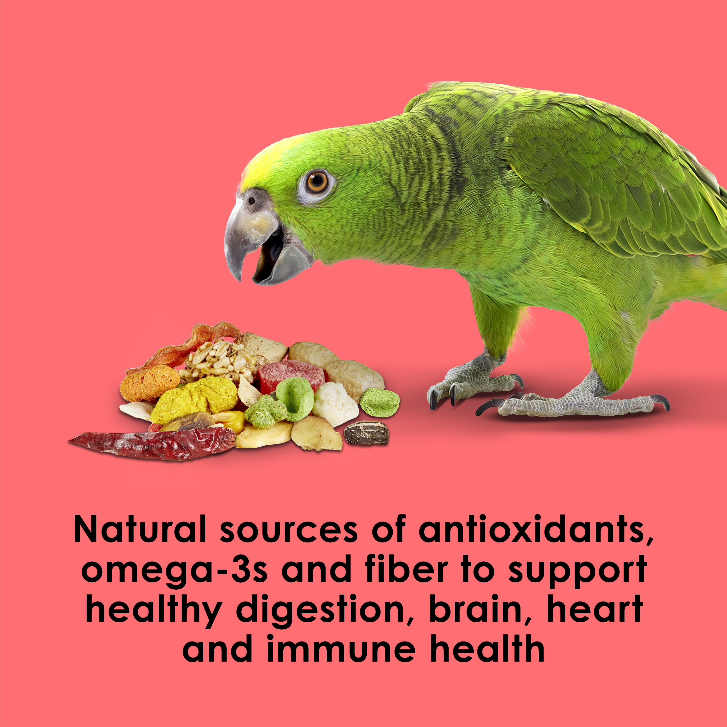 710788750-fiestaparrot_infographic05