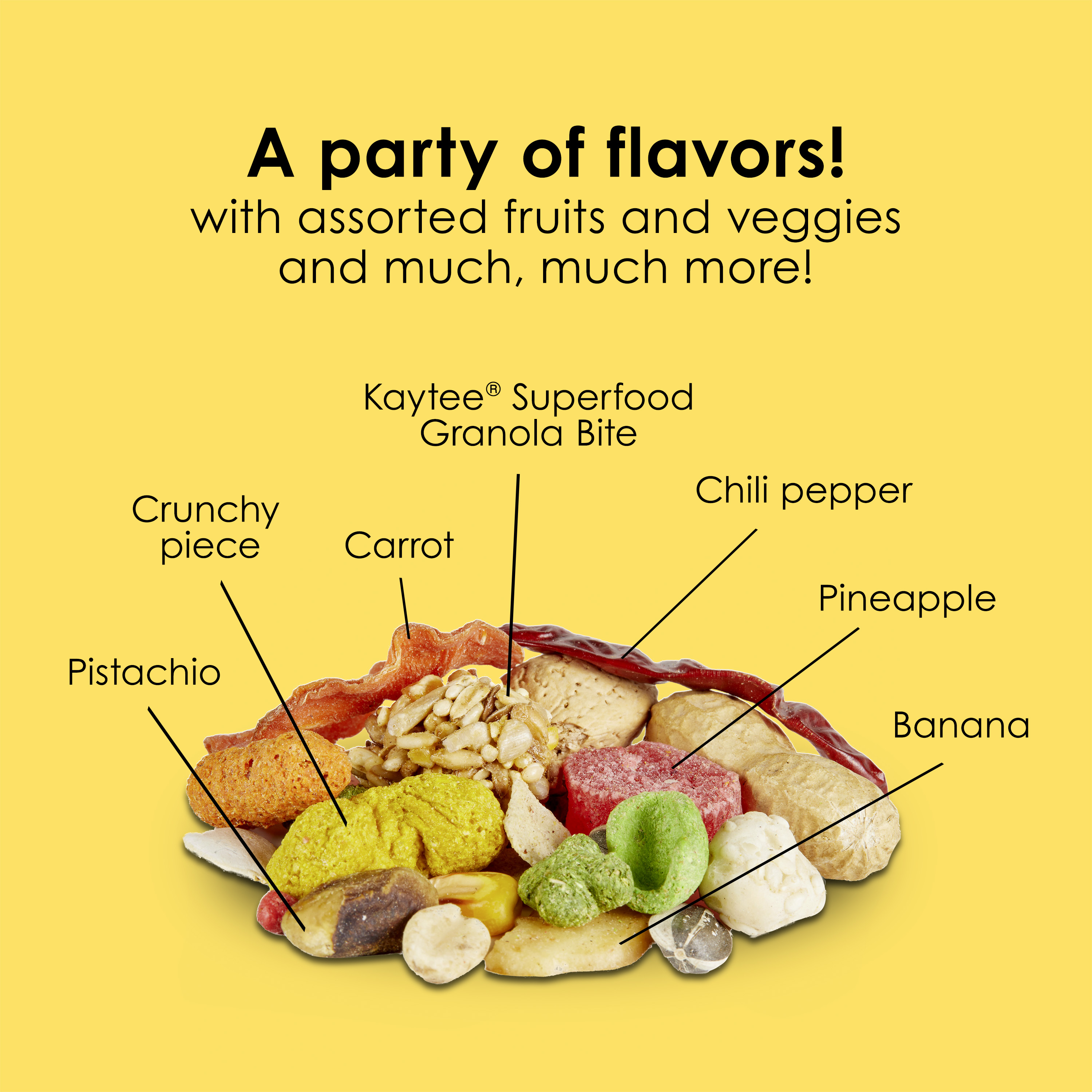 710788757-fiestaparrot_infographic06