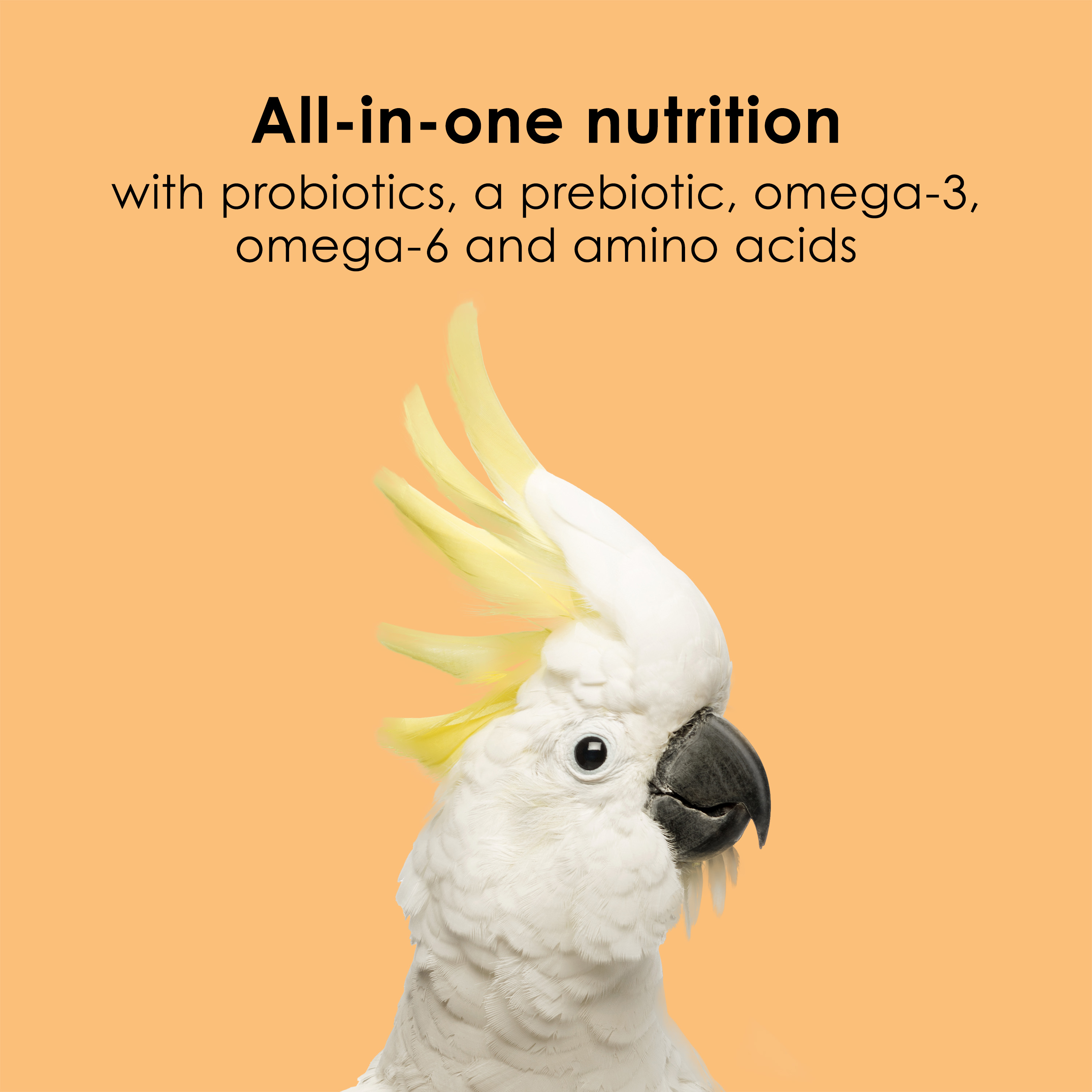 SAPM100550797_Infographic05