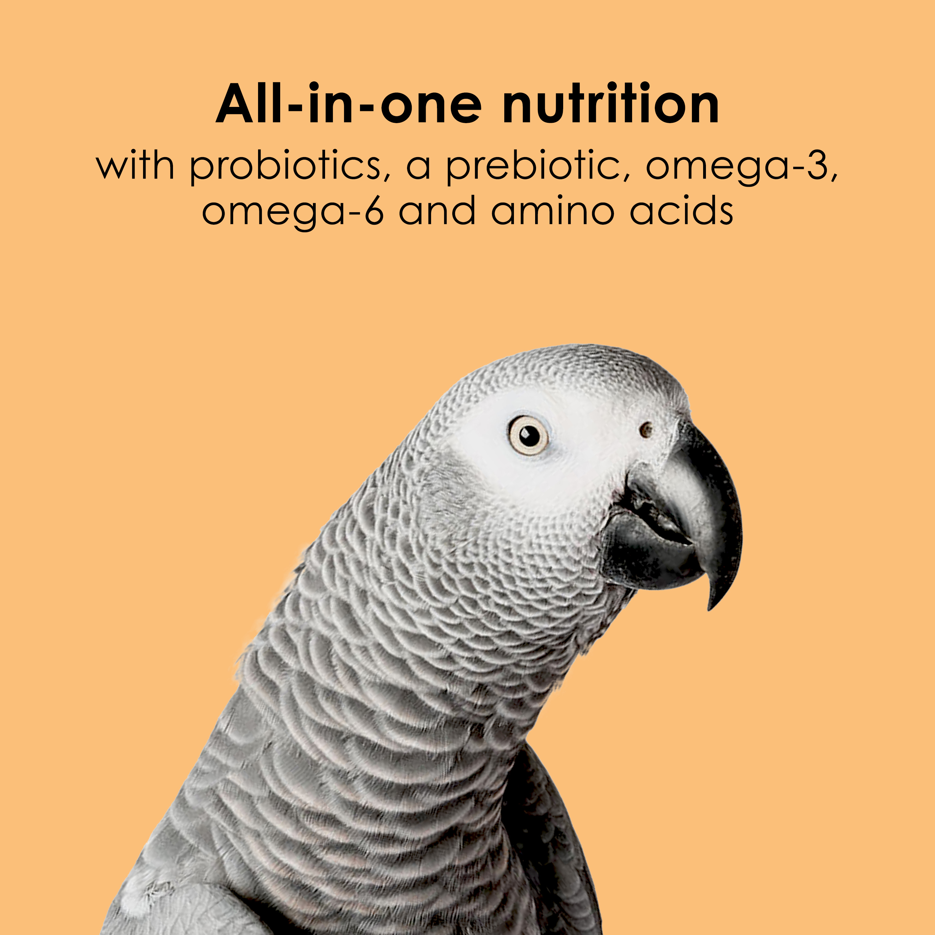 SAPM100550796_Infographic05