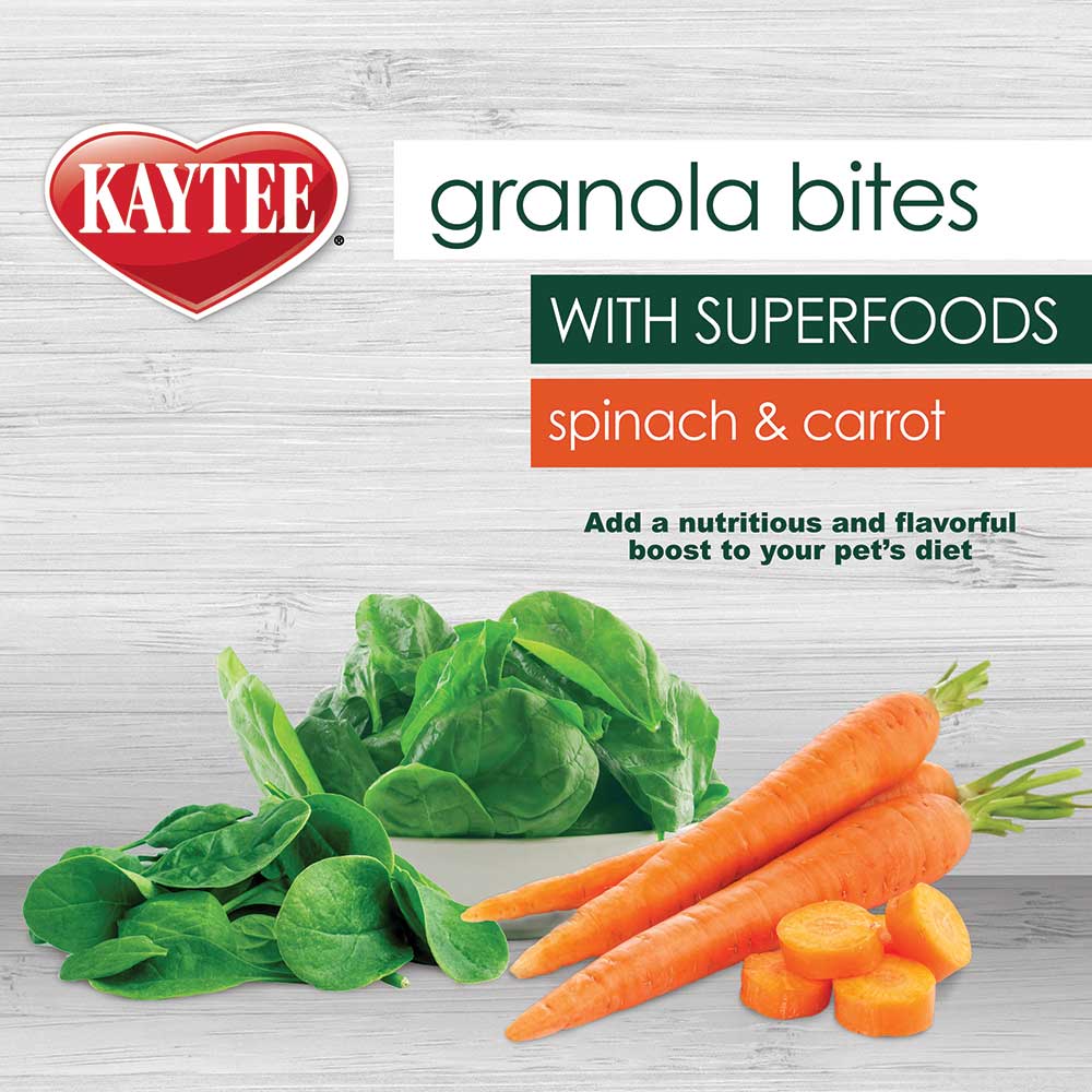 Kaytee-small-animal-carrot-and-spinach-treat