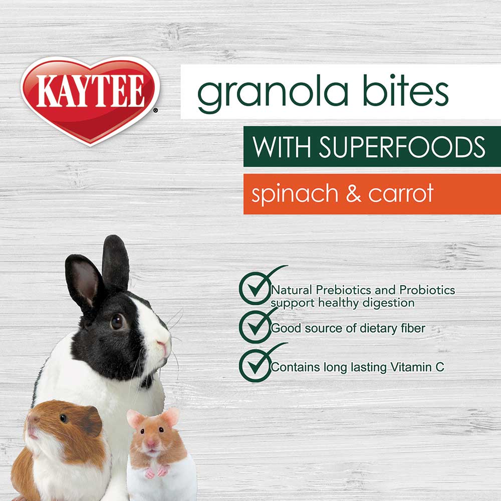 Kaytee-small-animal-carrot-and-spinach-treat