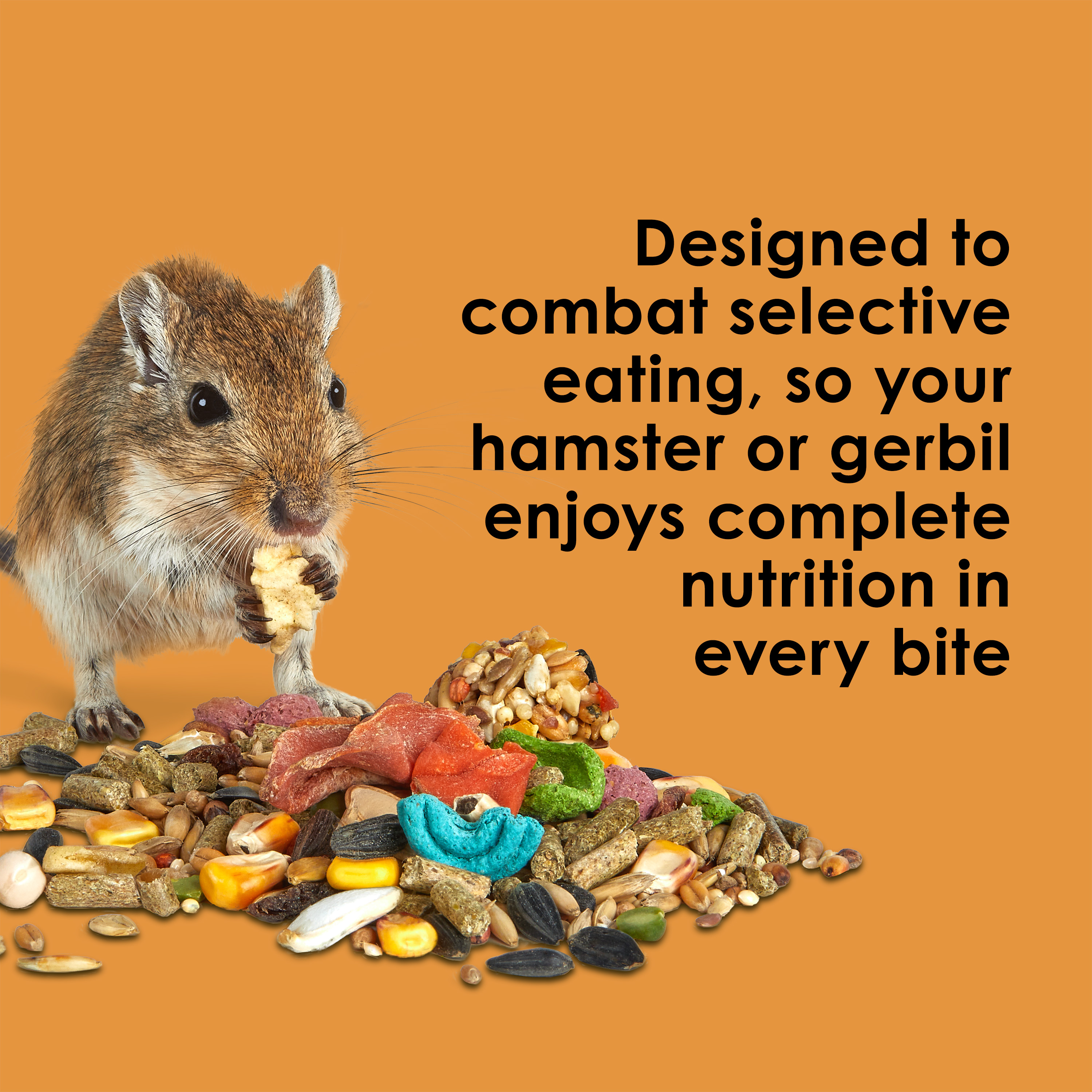 698655828-fiestahamsgerb_infographic03