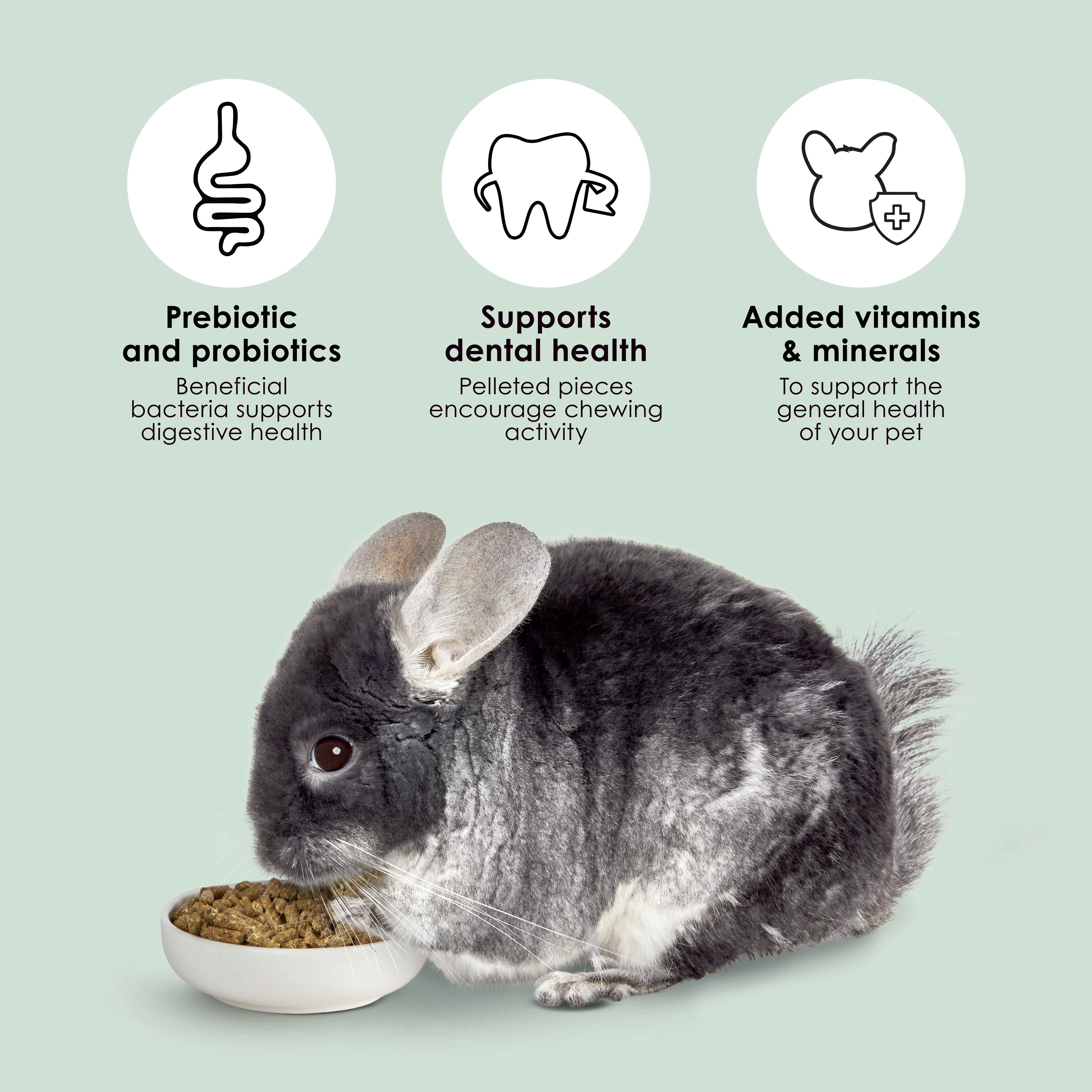 kt_timcomplete_chin_infographic05