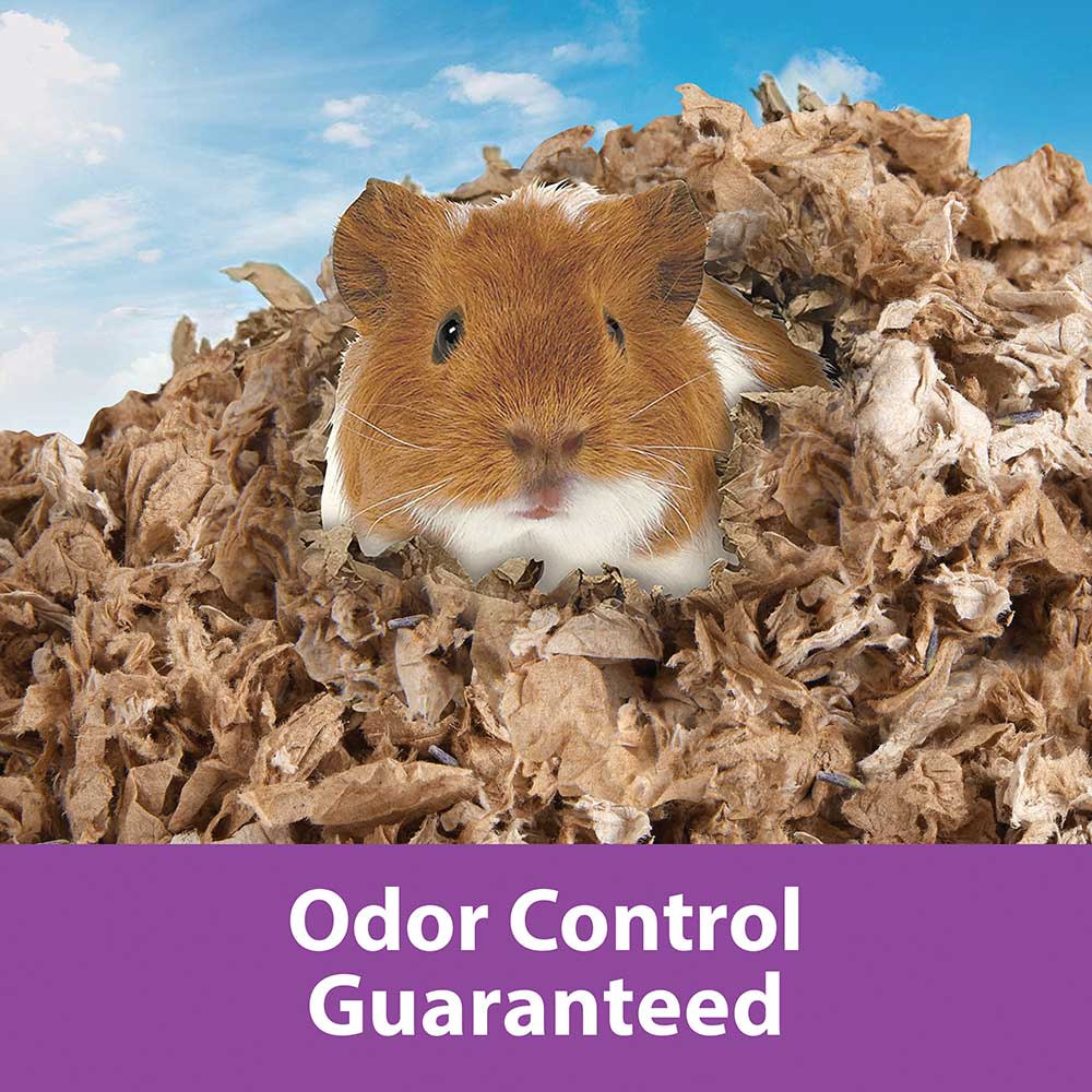 Kaytee-odor-control-pet-bedding