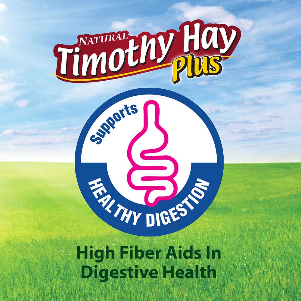 Kaytee-timothy-hay-plus-rose-and-thyme