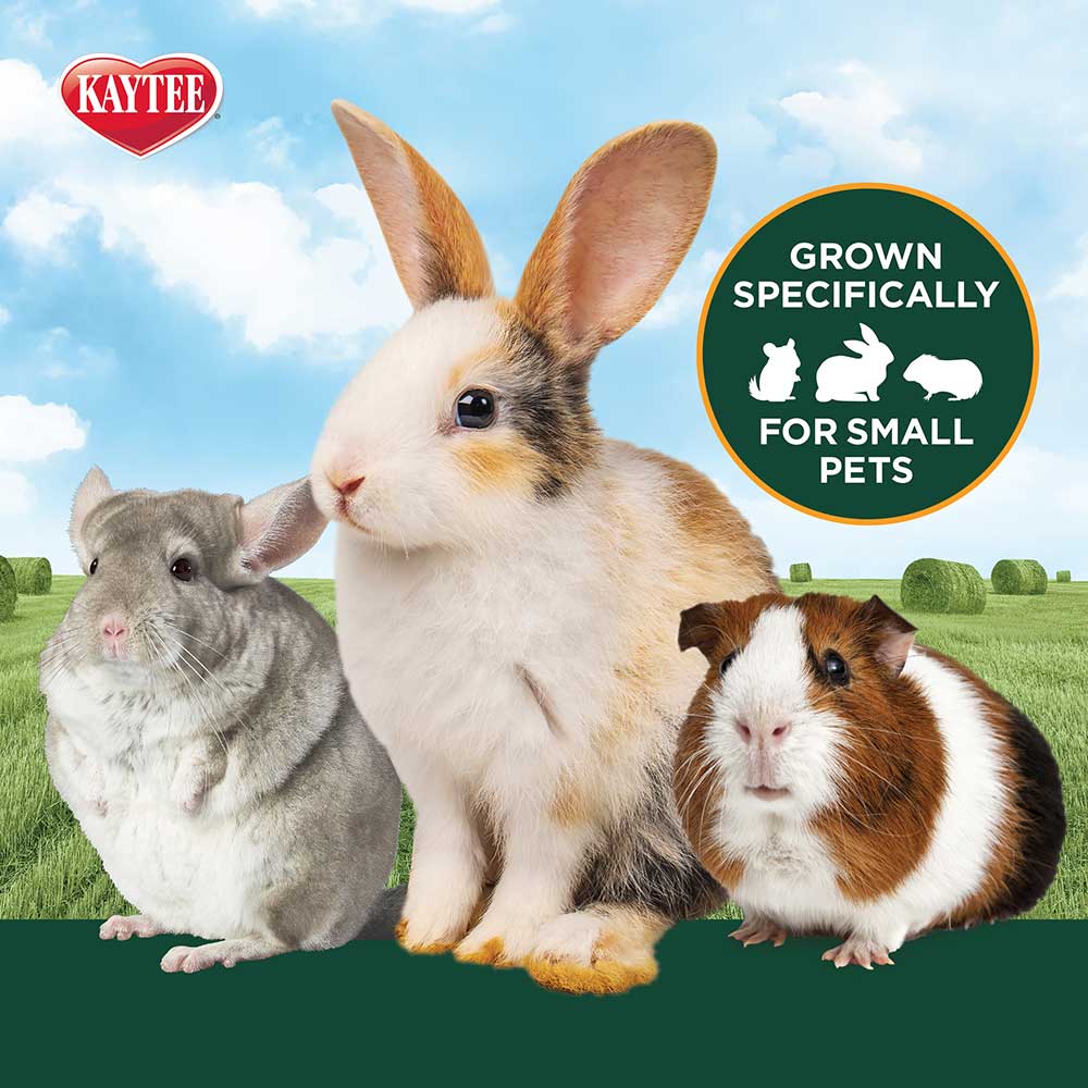 Kaytee-timothy-hay