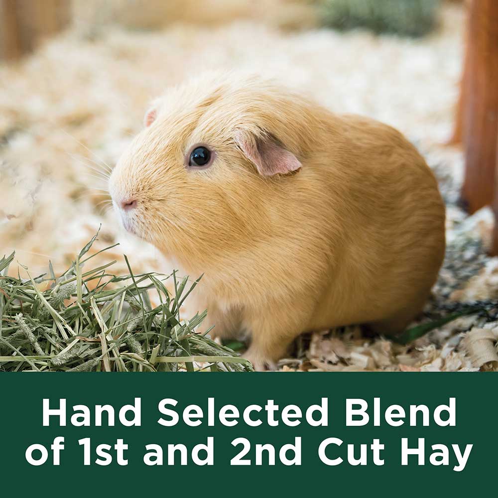 Kaytee-timothy-hay