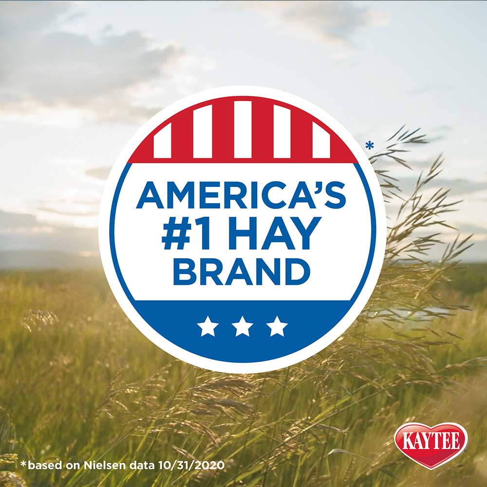 Kaytee-timothy-hay