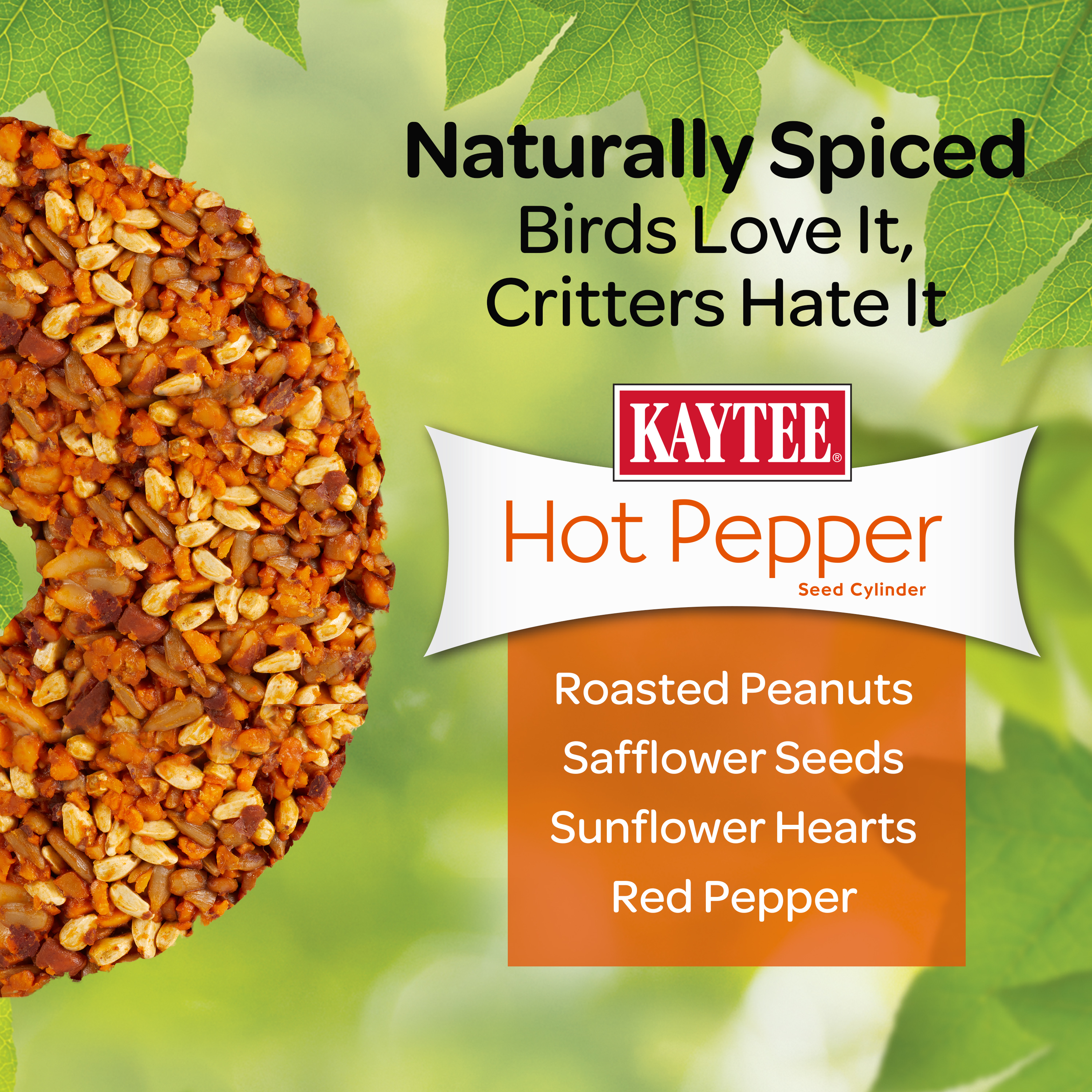 kt_wb_cylinder_hotpepper_6-5_lifestyle2
