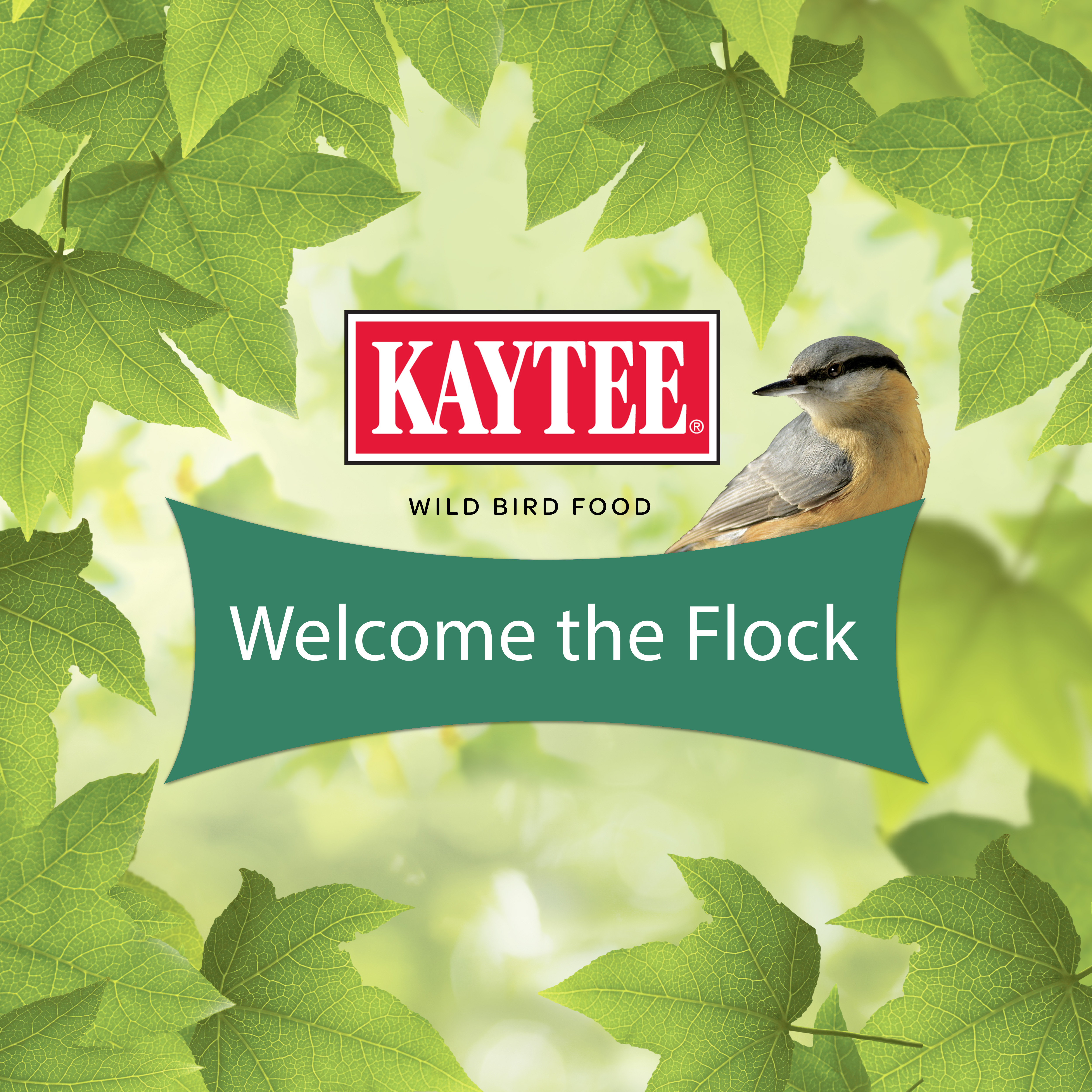 kt_wb_seed-suet_wreath_bowtie