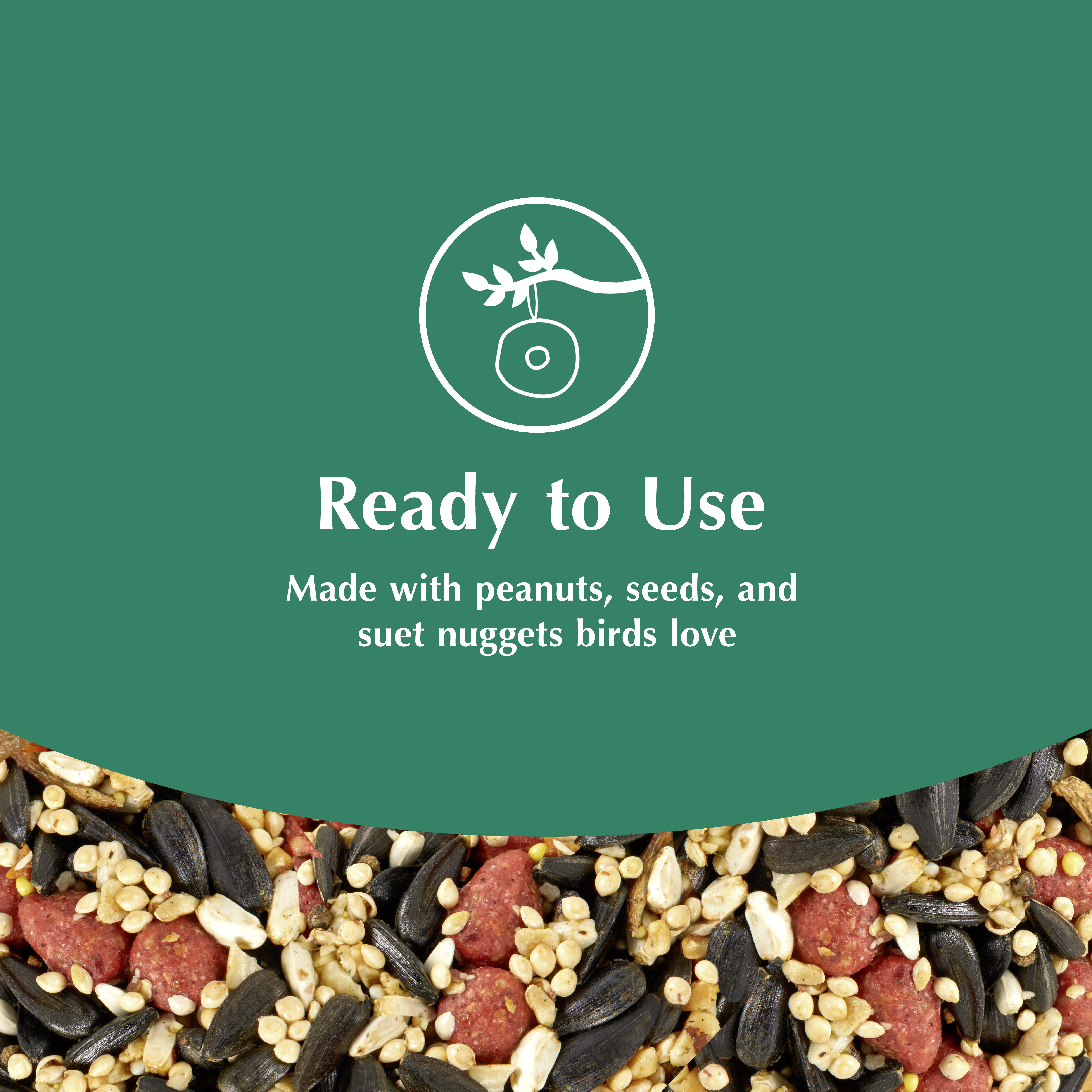 kt_wb_seed-suet_wreath_closeup