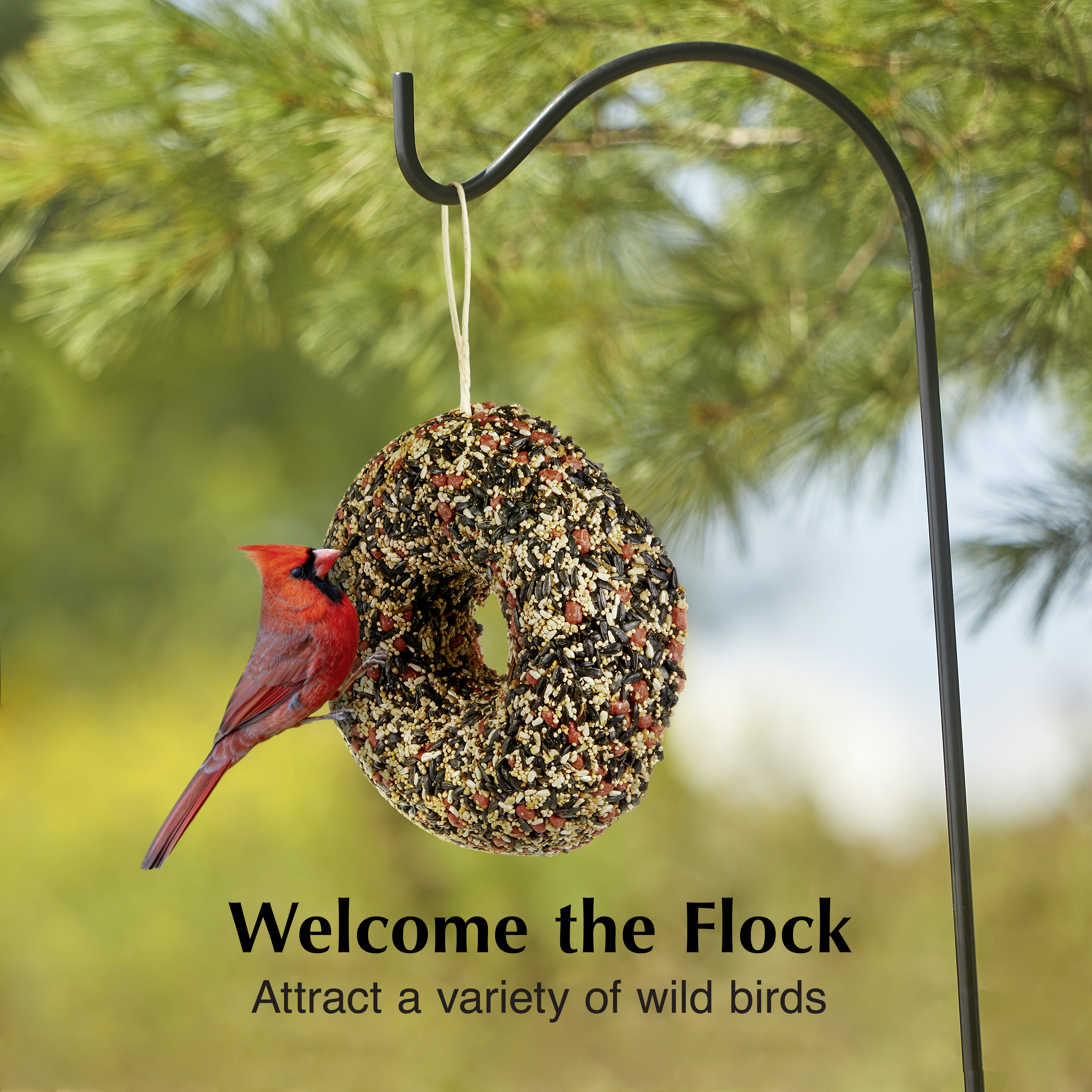 kt_wb_seed-suet_wreath_lifestyle