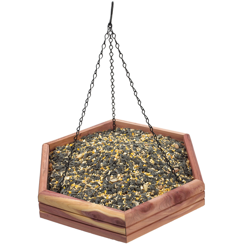 100506553-kaytee-cedar-bird-bath-or-feeder--5