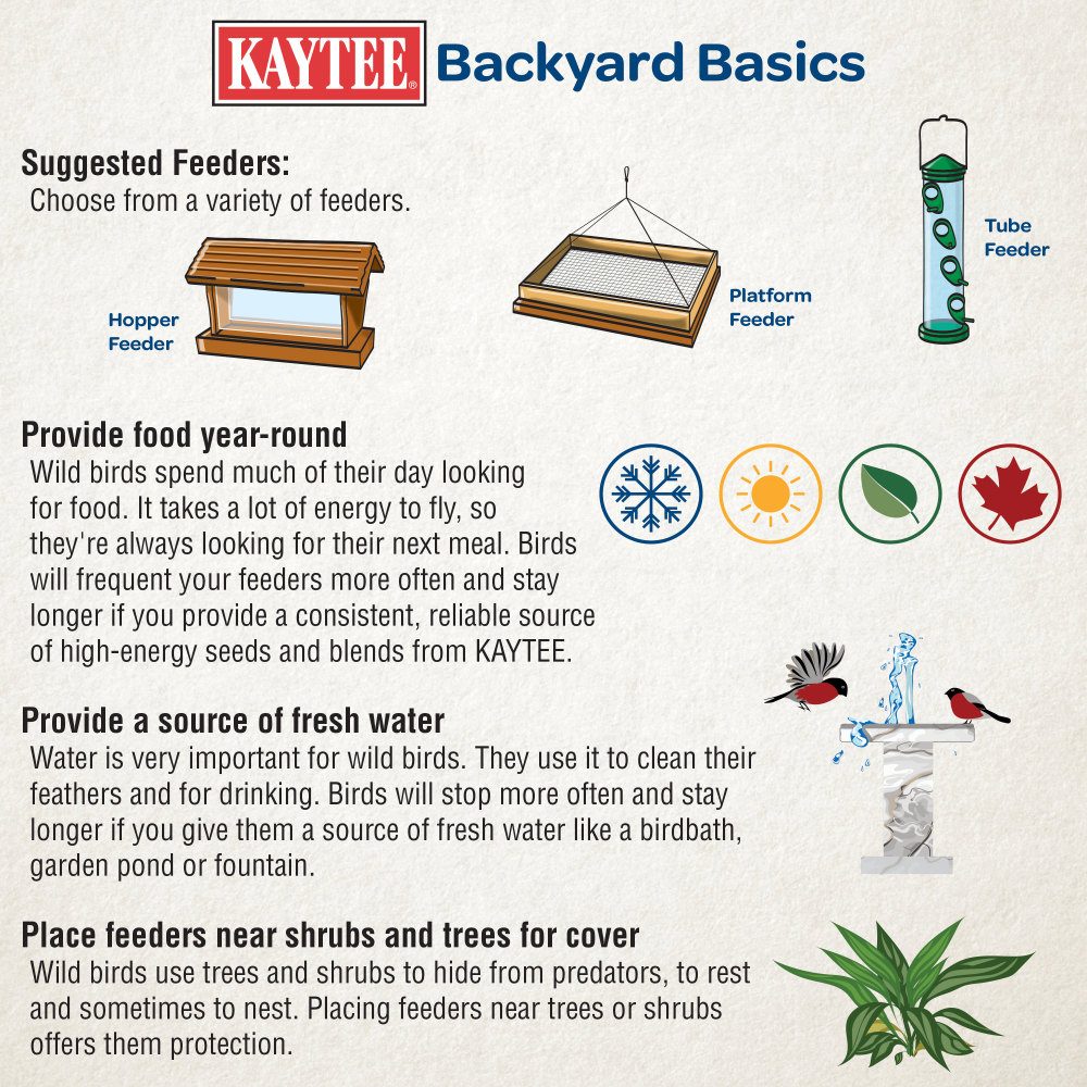 100506553-kaytee-cedar-bird-bath-or-feeder--7
