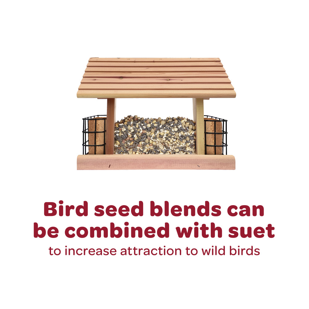 100528690-kaytee-seed-_-mealworm-cake-14-lb-15