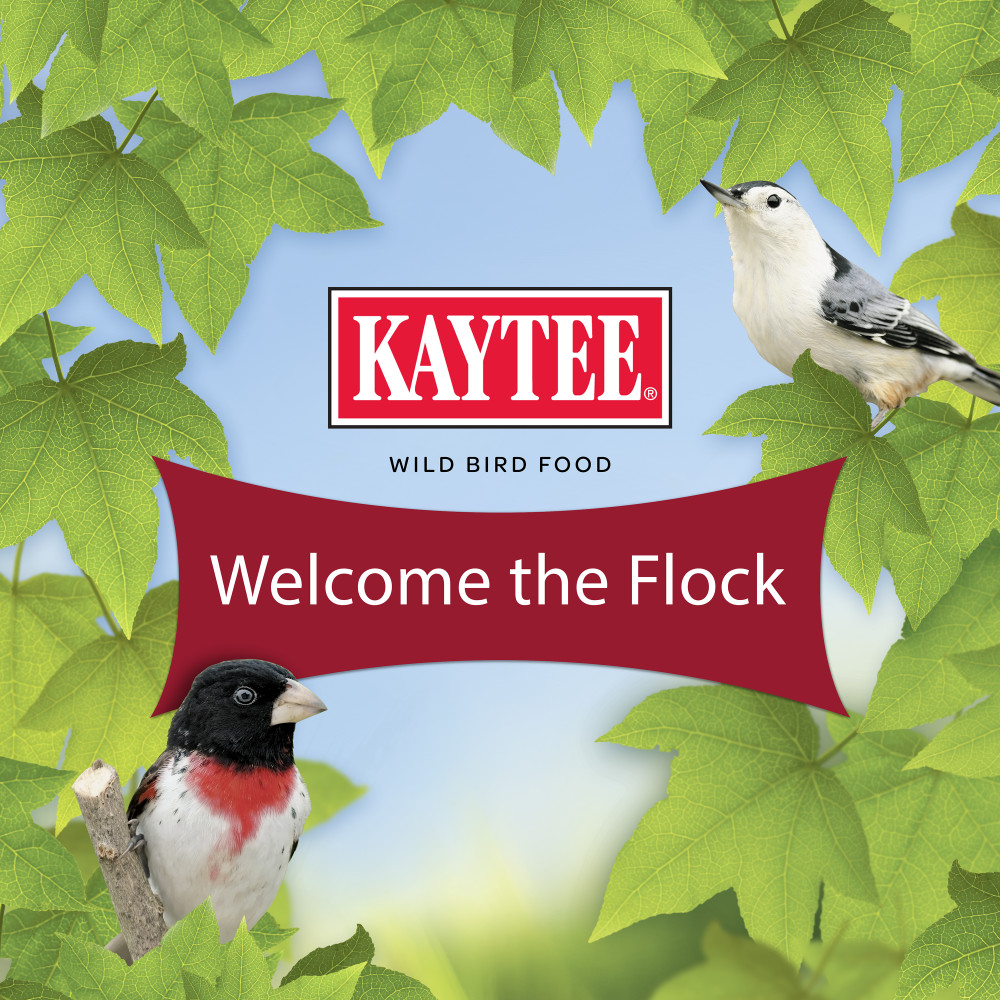 100528690-kaytee-seed-_-mealworm-cake-14-lb-18