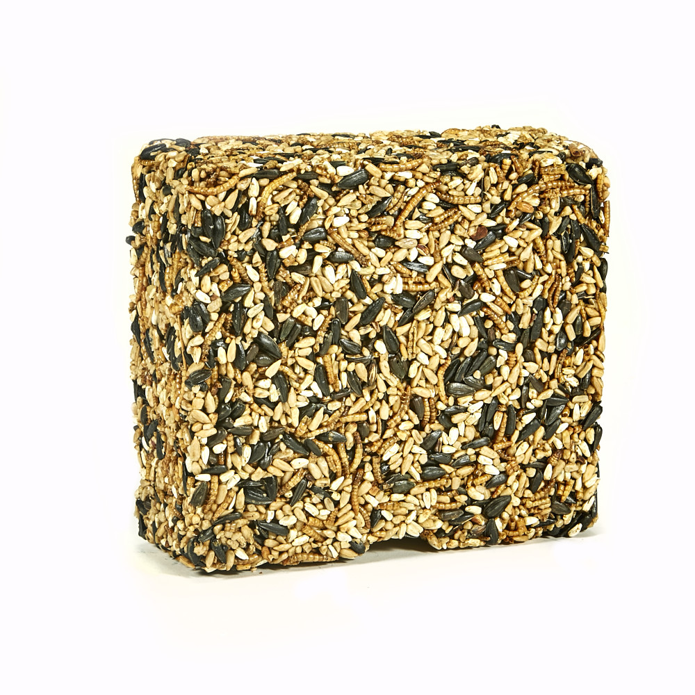 100528690-kaytee-seed-_-mealworm-cake-14-lb-2