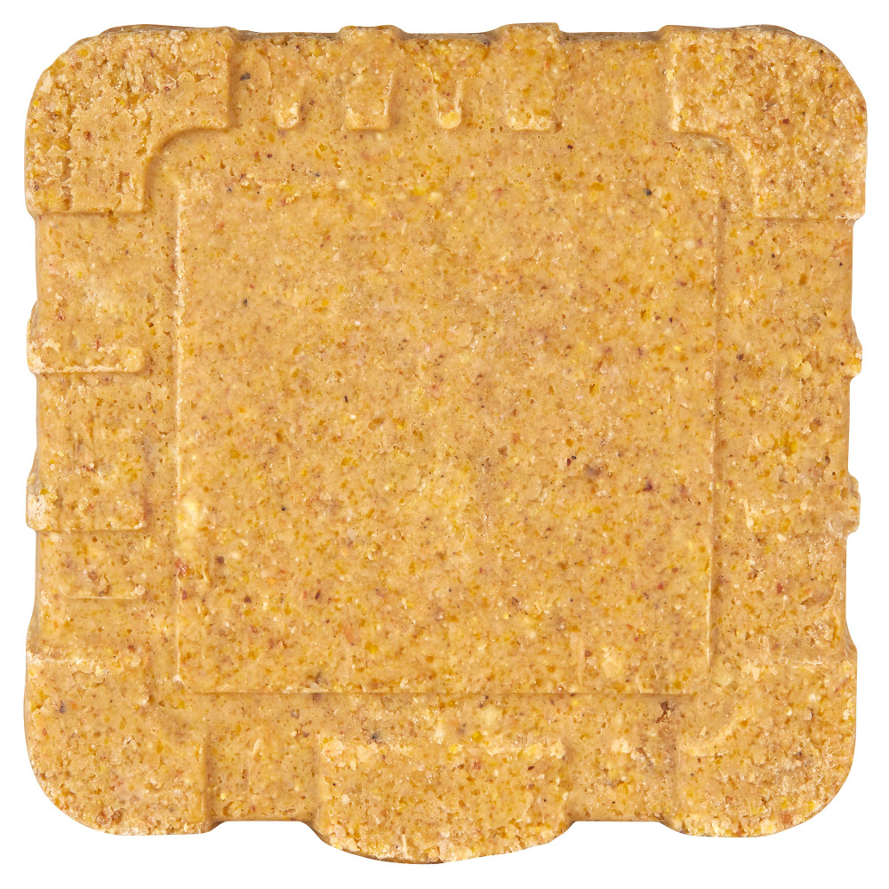 100037129-kaytee-nut-_-fruit-suet-dough--9