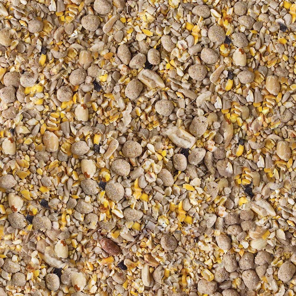 Kaytee-wild-bird-peanut-food