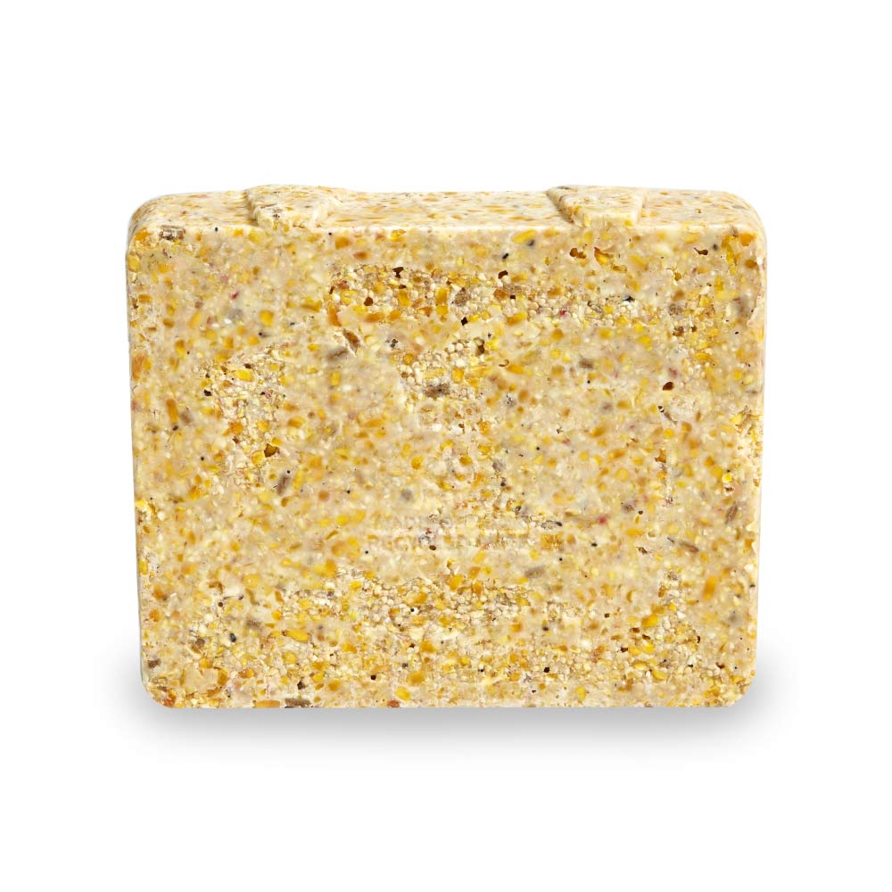 Kaytee-suet-and-seed-wild-bird-suet