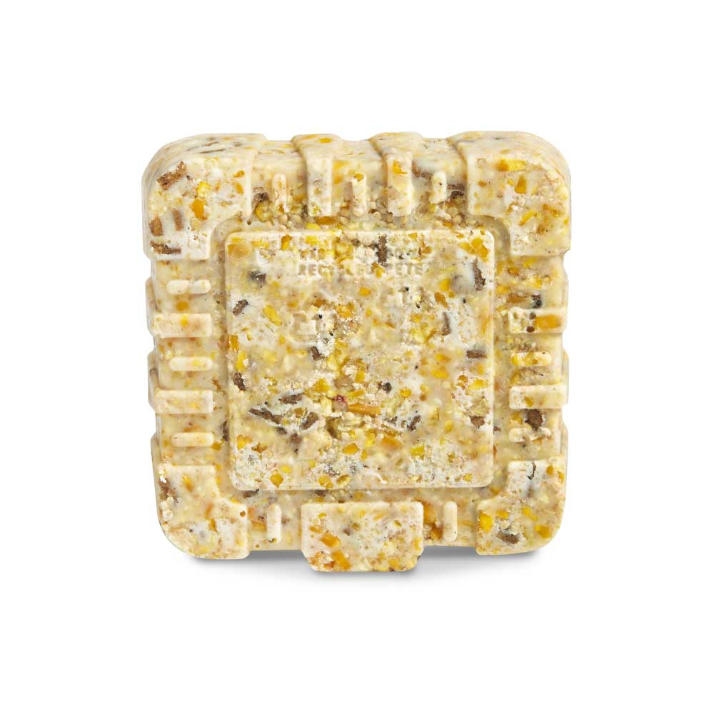 Kaytee-wild-berry-wild-bird-suet