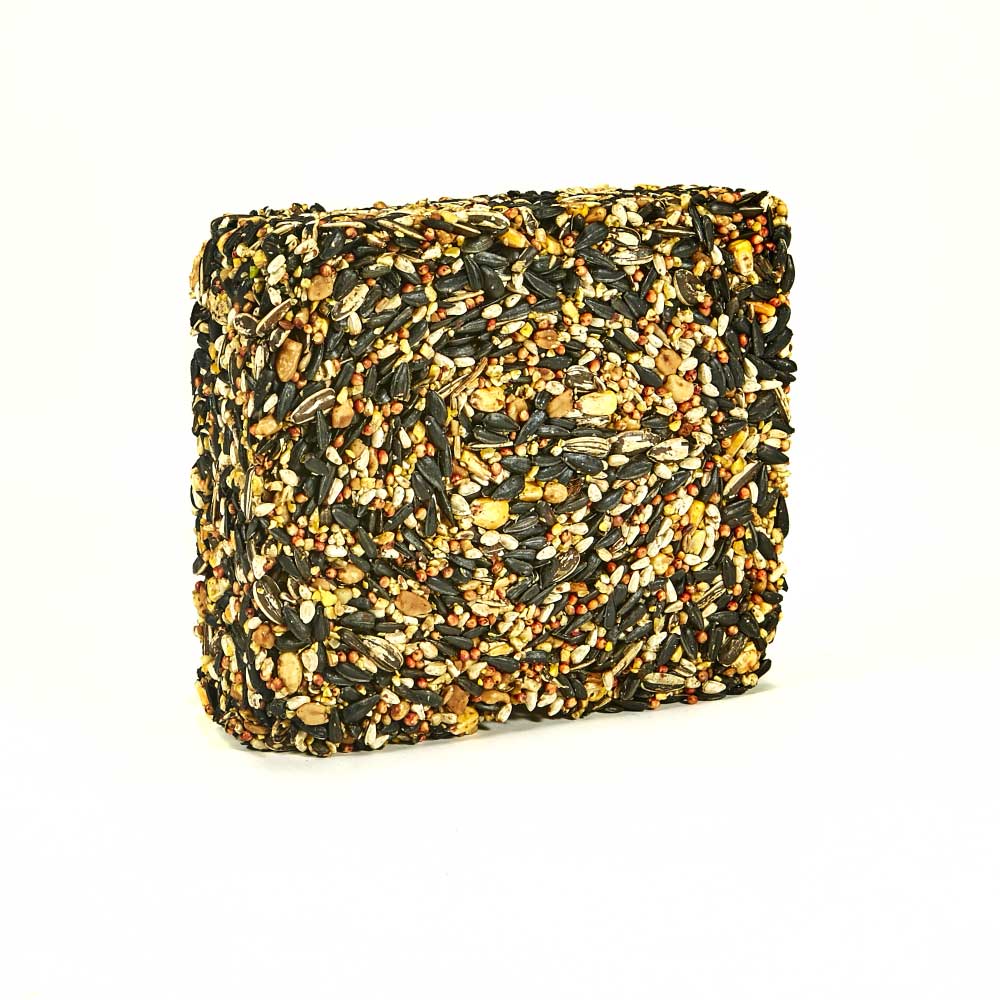 Kaytee-woodpecker-wild-bird-seed-cake