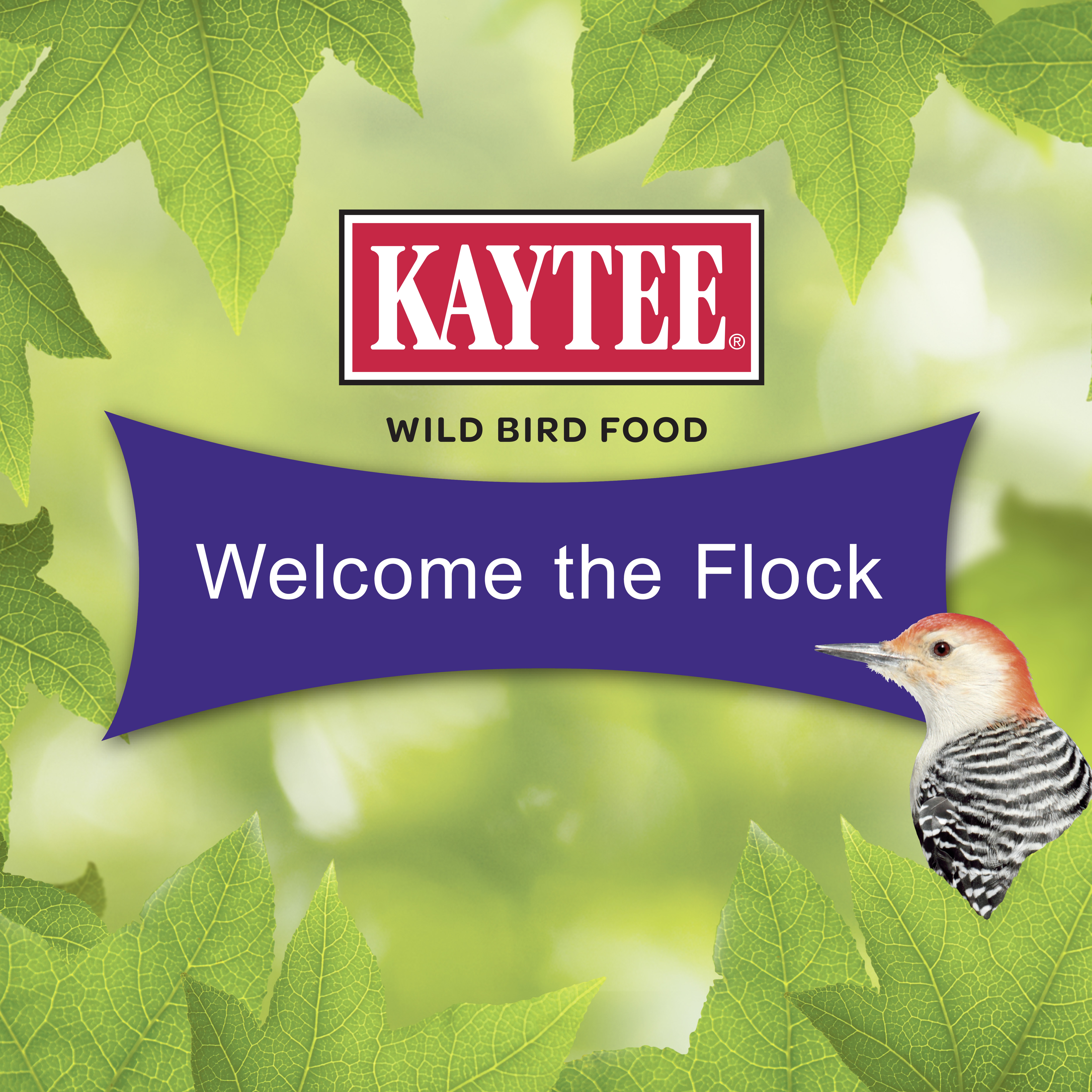 19605_KT_WB_WoodpeckerCake_Tile5_Welcome