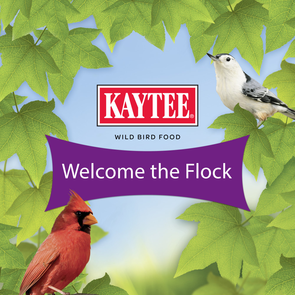 100061951-kaytee-nut-_-fruit-blend-wild-bird-food-5-pounds-9