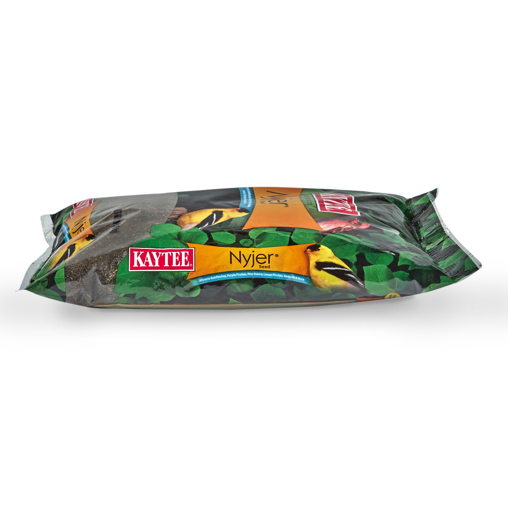 100061916-kaytee-food-nyjer_-3-pounds-9