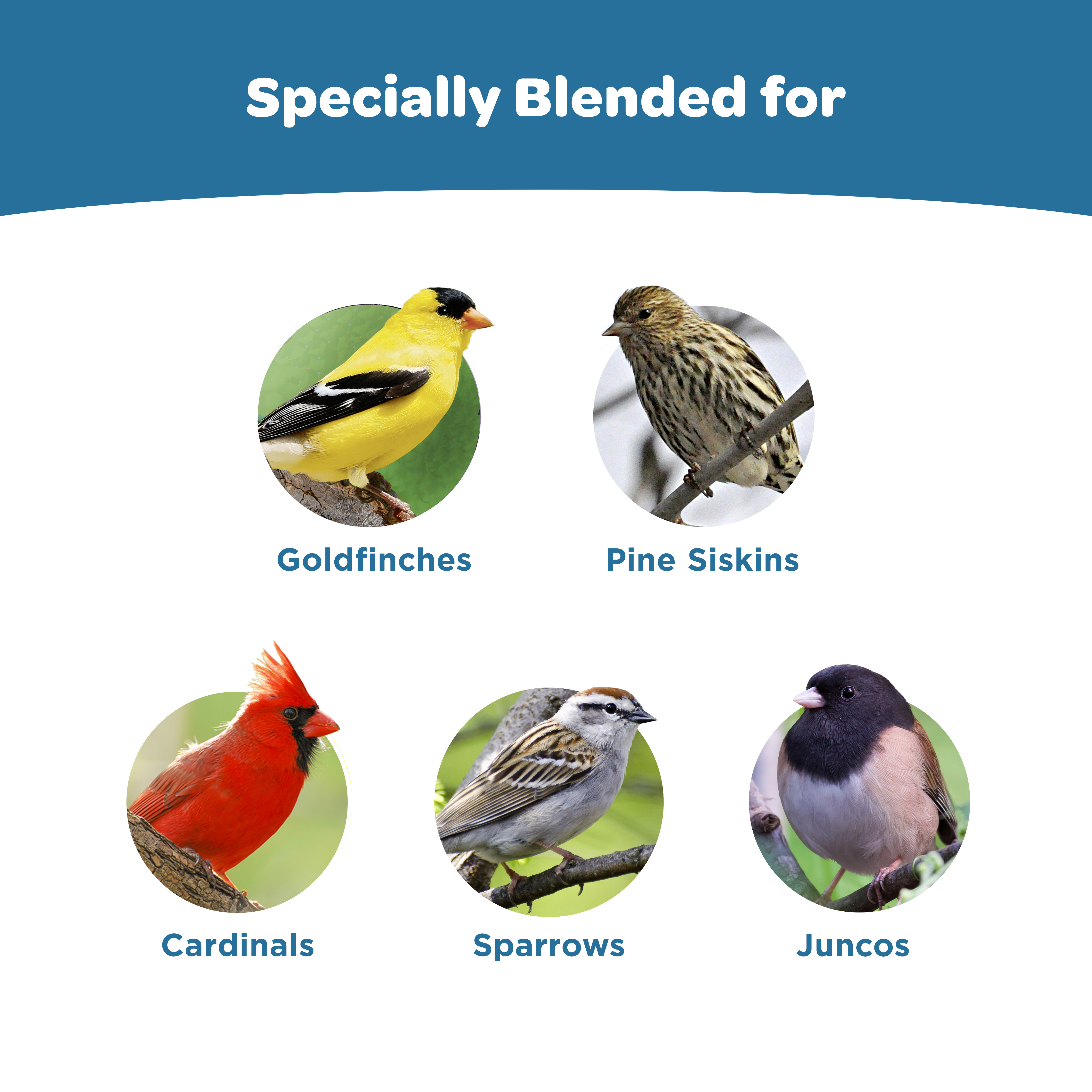 kt_wb_smartsmall_feederrefill_2lb_03_species