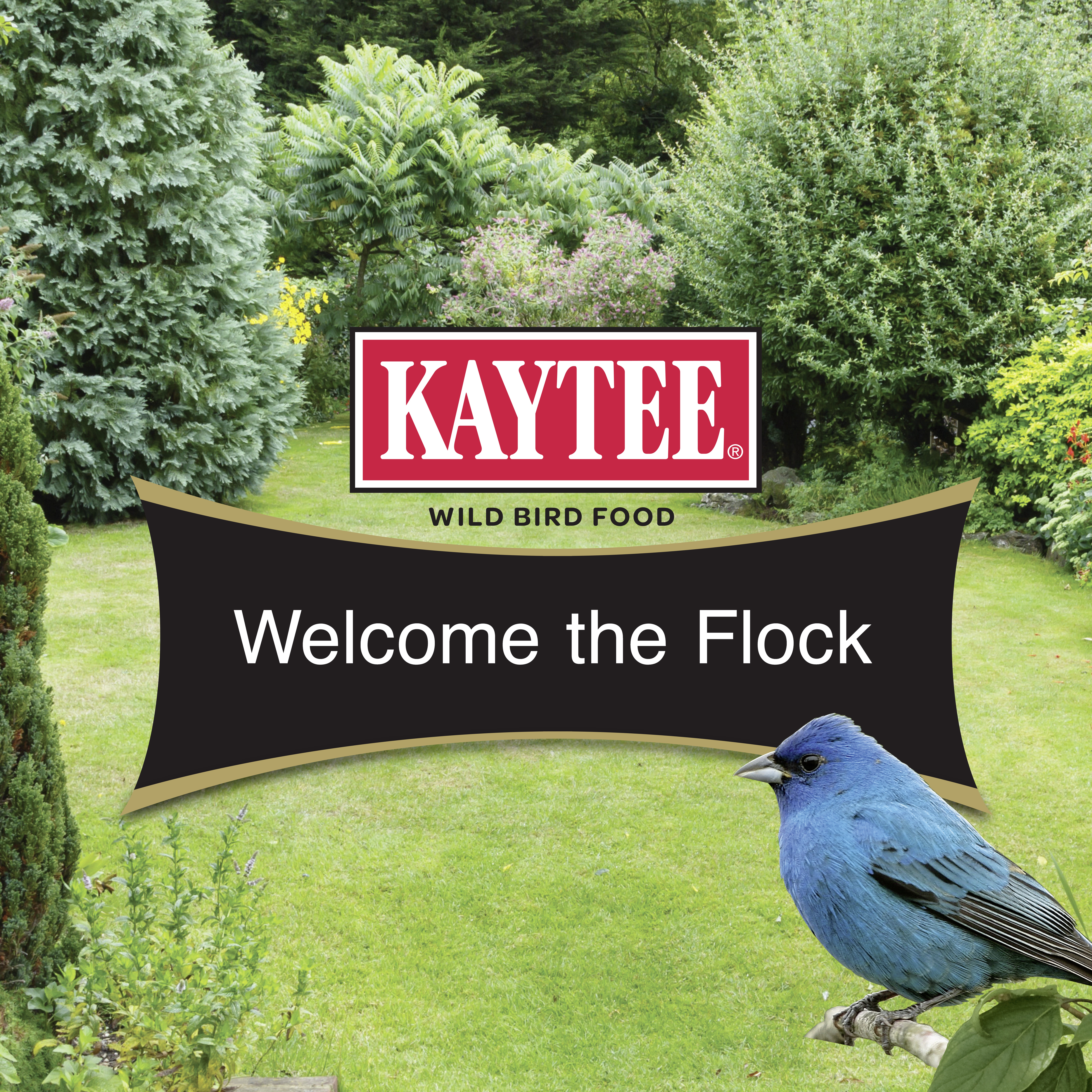 kt_wb_smartsmall_feederrefill_2lb_07_branding