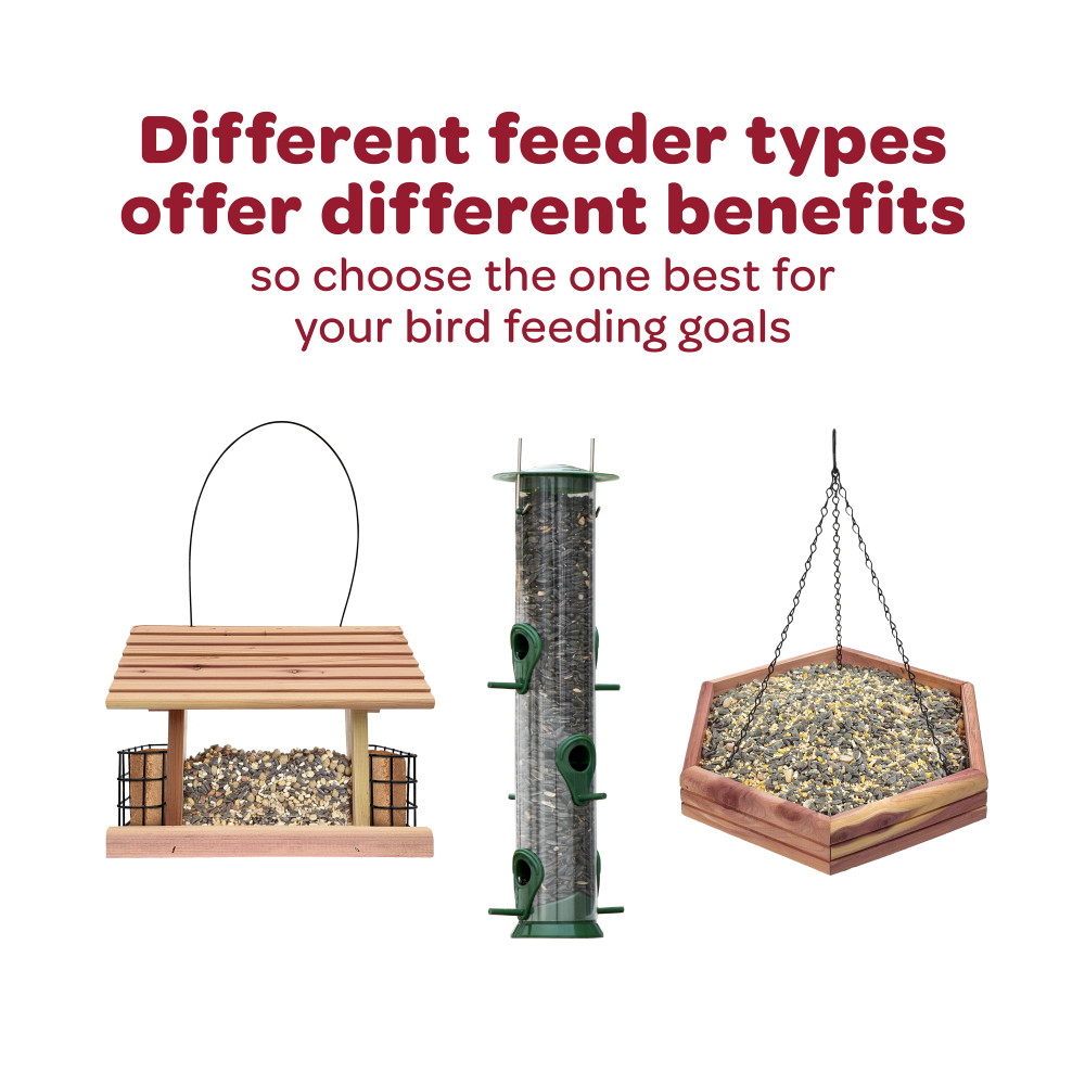 100509354-kaytee-ultra-wild-finch-blend-sock-25-oz-5