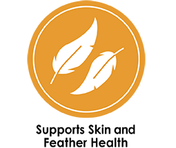 PB_BondingBits_LandingPage_Benefit_SkinFeather_255x215