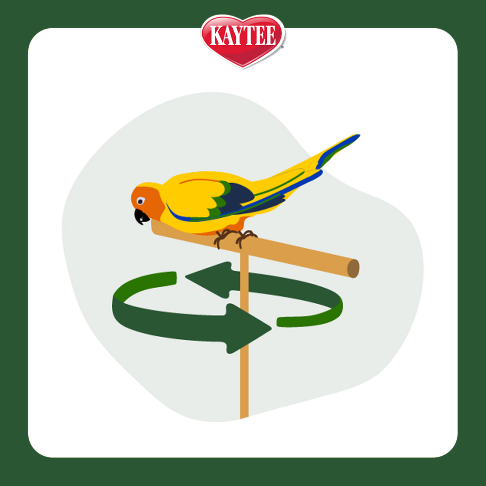 PB_BondingBits_LandingPage_LinkOut_SpinTurn_1000x1000