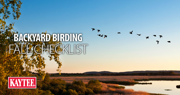 Backyard Birding Bingo Game