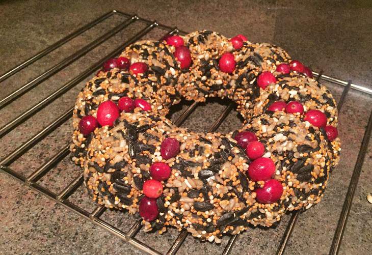 DIY Holiday Bird Seed Wreath for Wild Birds