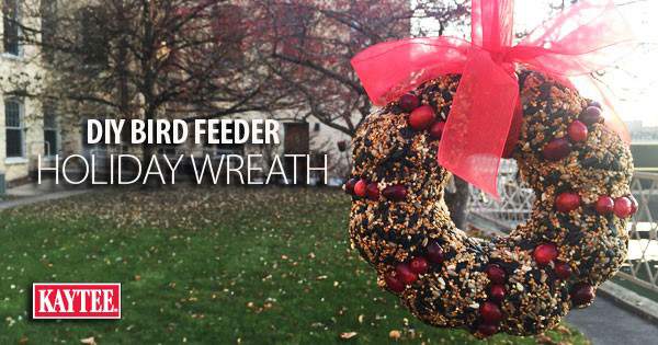 DIY Holiday Wreath Bird Feeder