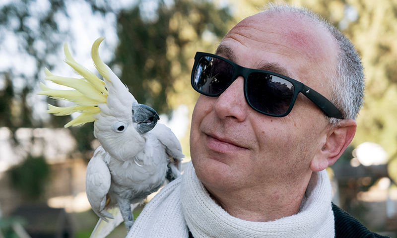 man-bonding-with-sulfur-crested-cockatoo