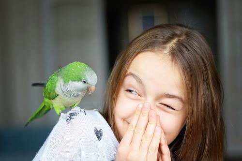 kaytee blog post bed bird breeds parakeet